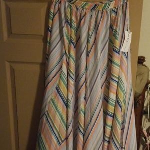 NWT Floor length A line skirt.